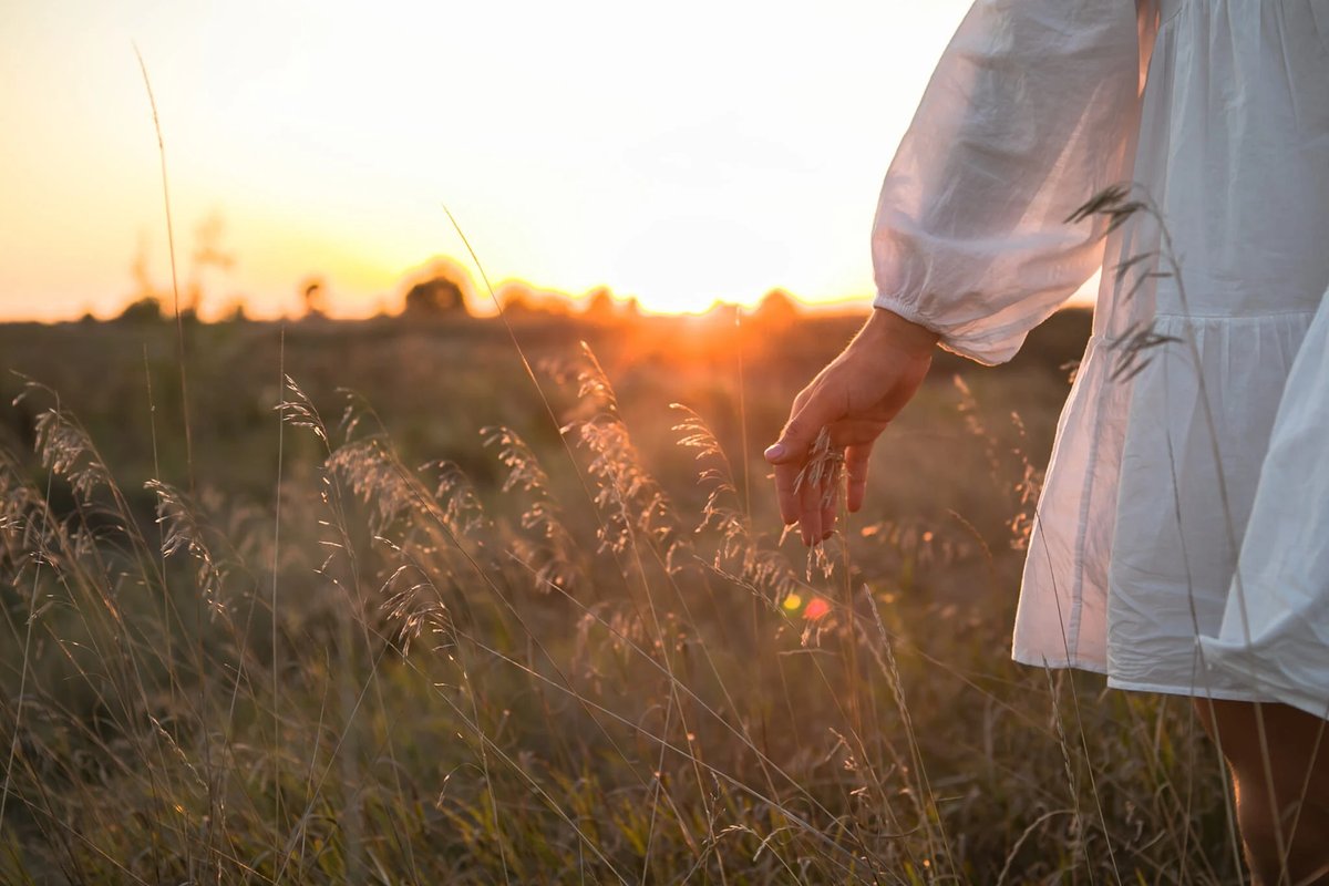 Full Bloom Counseling Denver office — 1780 S Bellaire St Suite 485