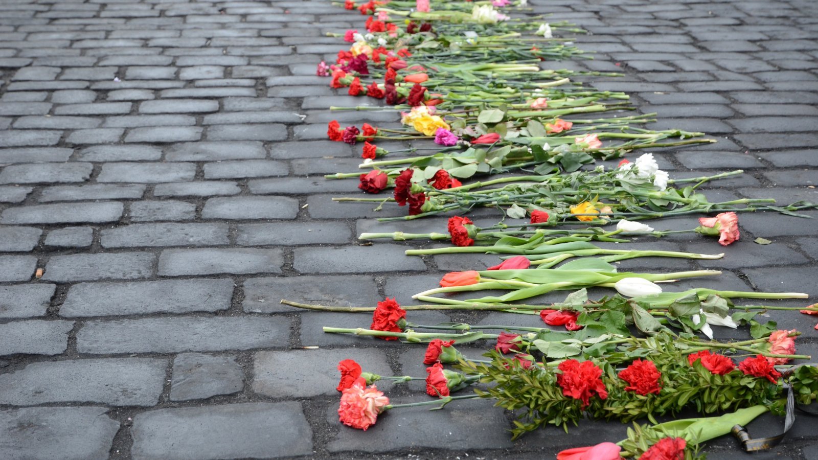 Flowers on cobblestones — grief and loss therapy Denver Colorado