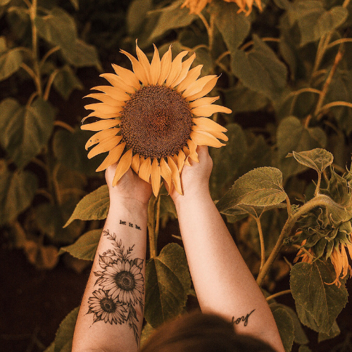 Full Bloom Counseling: Denver Therapy - You're Ready to Bloom